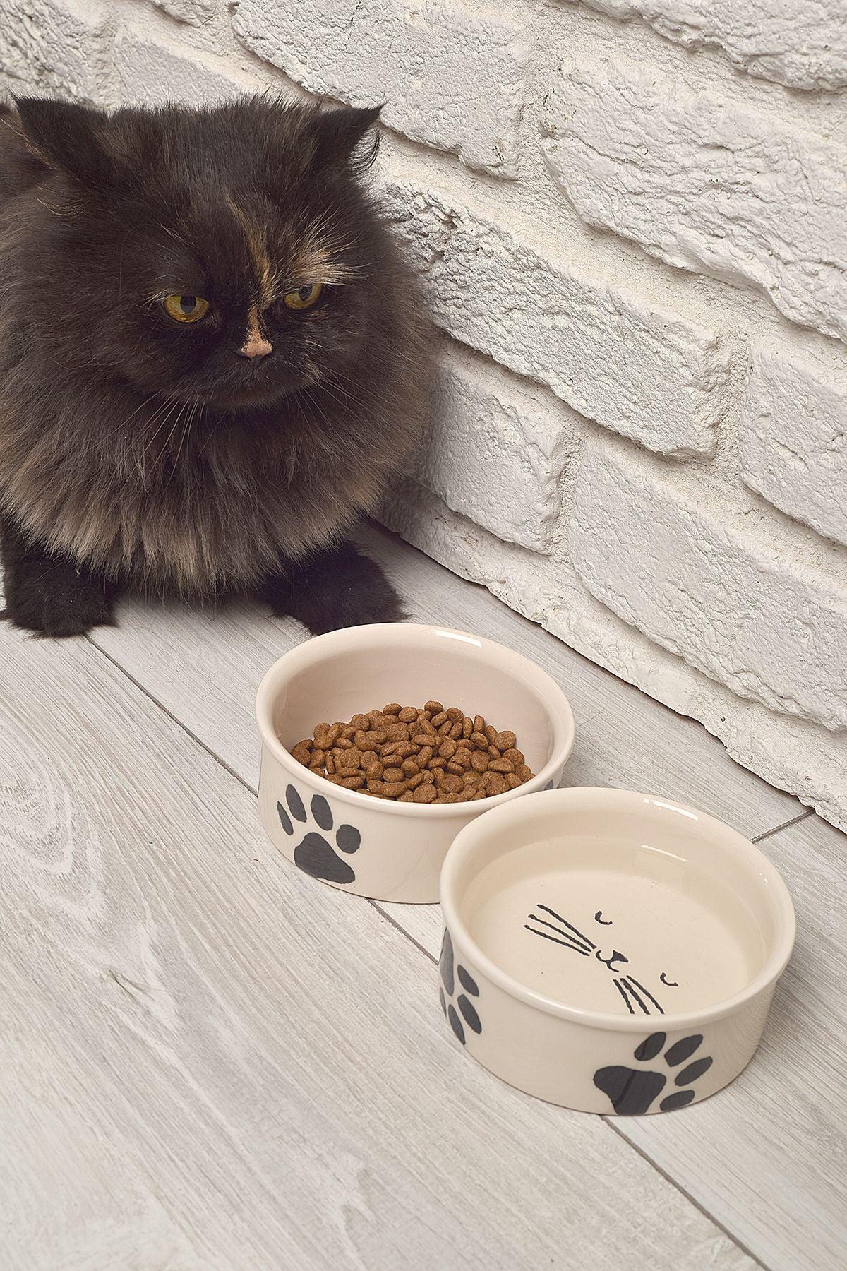 Pati & Kedi Figürlü 2'li Seramik Mama ve Su Kabı Seti - 12cm (300ml) - Hijyenik Kedi Köpek Beslenme Kabı - Kaymaz Tabanlı - Selenica