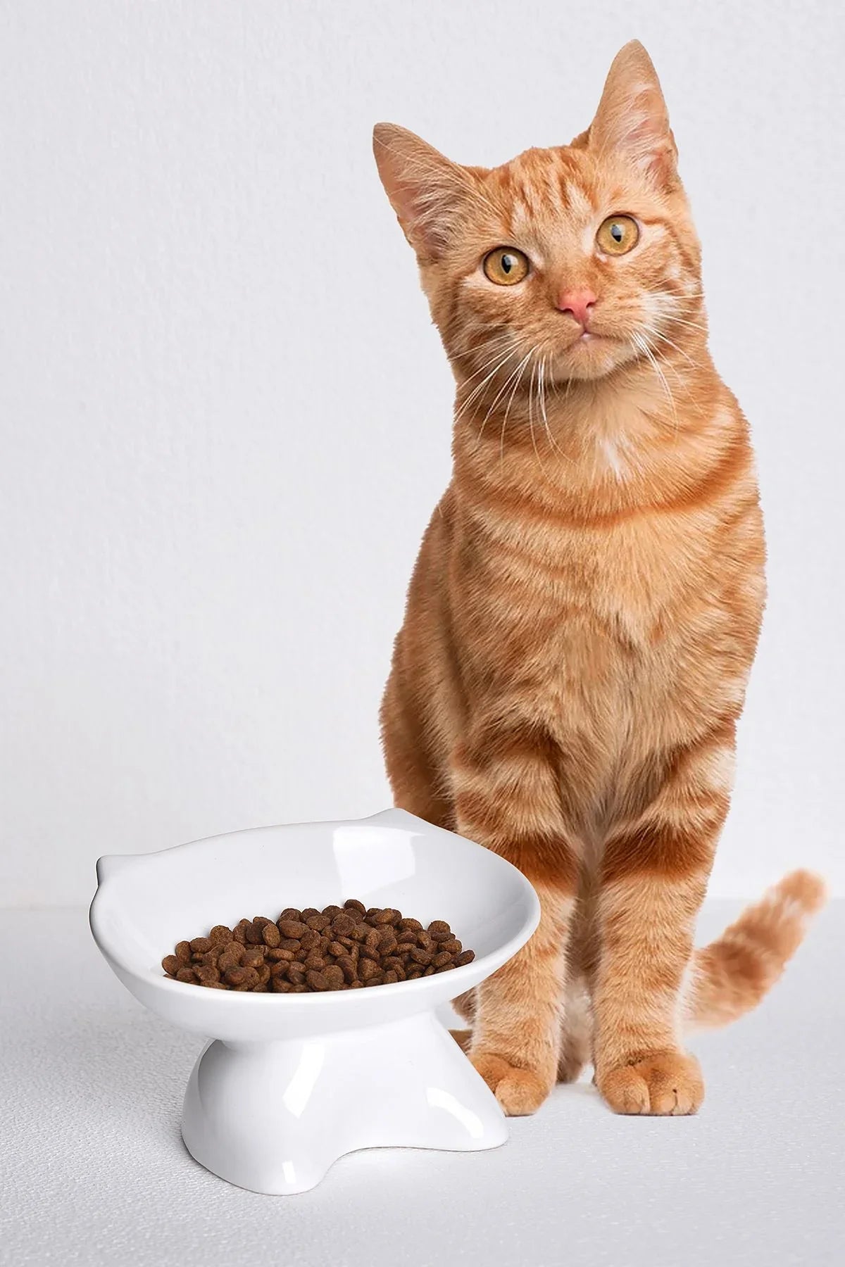 Ergonomik Eğimli Yüksek Seramik Kedi Mama Kabı - Ortopedik, Bıyık Dostu Tasarım - Siyah & Beyaz Renk Seçenekli - Selenica