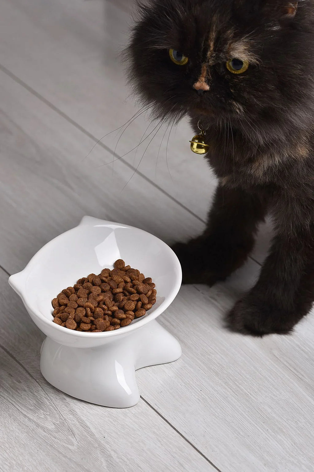 Ergonomik Eğimli Yüksek Seramik Kedi Mama Kabı - Ortopedik, Bıyık Dostu Tasarım - Siyah & Beyaz Renk Seçenekli - Selenica