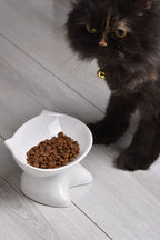 Ergonomik Eğimli Yüksek Seramik Kedi Mama Kabı - Ortopedik, Bıyık Dostu Tasarım - Siyah & Beyaz Renk Seçenekli - Selenica