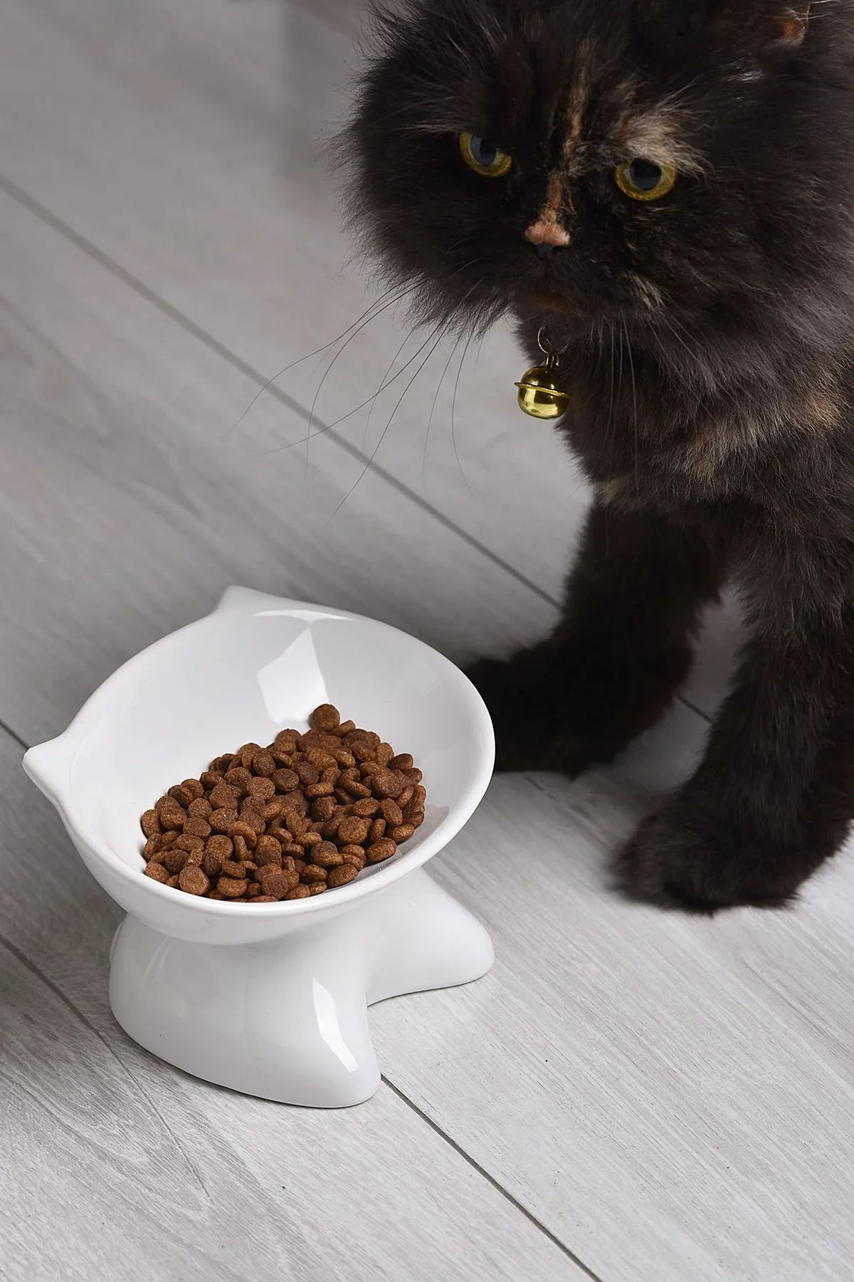 Ergonomik Eğimli Yüksek Seramik Kedi Mama Kabı - Ortopedik, Bıyık Dostu Tasarım - Siyah & Beyaz Renk Seçenekli - Selenica