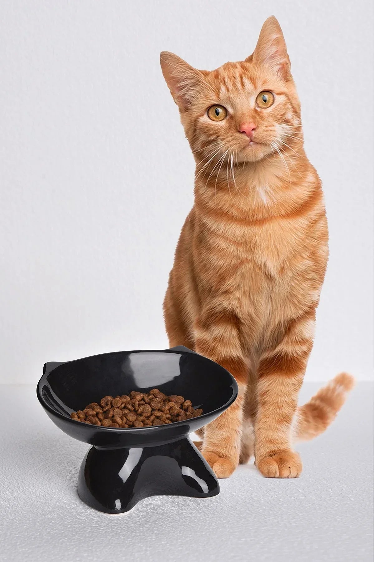 Ergonomik Eğimli Yüksek Seramik Kedi Mama Kabı - Ortopedik, Bıyık Dostu Tasarım - Siyah & Beyaz Renk Seçenekli - Selenica